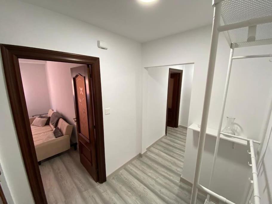 Apartment Casa Raquelina *